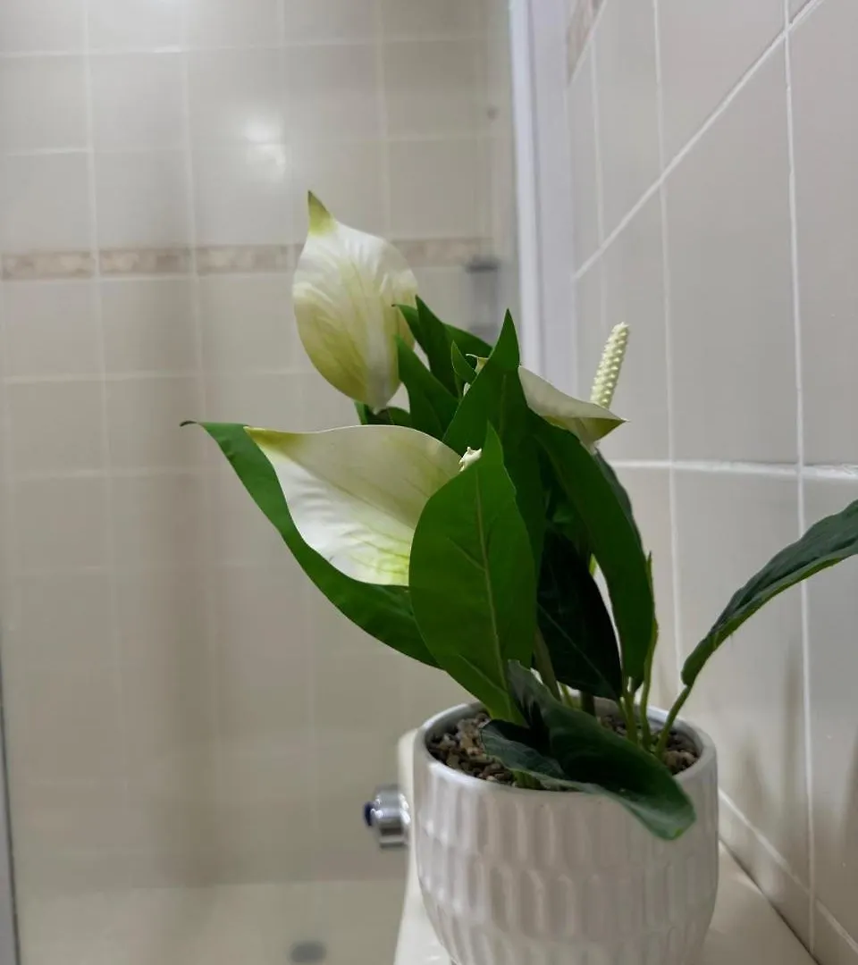 Apartamento Cerca Del Aeropuerto Con Jacuzzi 10 Personas Cartagena 0*,